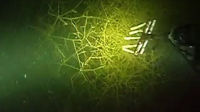 угорь 2 смотреть онлайн