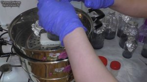 ?Посев семян орхидеи фаленопсис.  Великолепные результаты прошлых посевов?