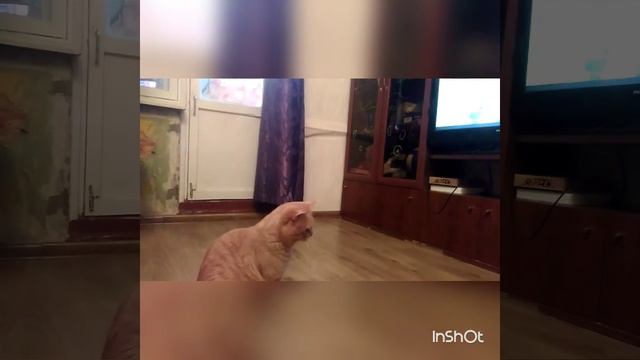 Как надо гонять дома. смотреть онлайн