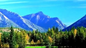 ОЧЕНЬ КРАСИВАЯ МЕЛОДИЯ.ЭТУ МЕЛОДИЮ МОЖНО СЛУШАТЬ ВЕЧНО!!!С первой минуты БЛАЖЕНСТВО !!!