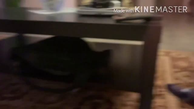 Собачка Диночка!