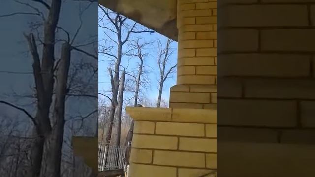 Печь под казан внутри барбекю. смотреть онлайн