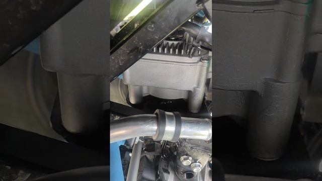 Eps Segway Snarler 600