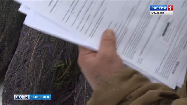 В Смоленске начнут работать елочные базары смотреть онлайн