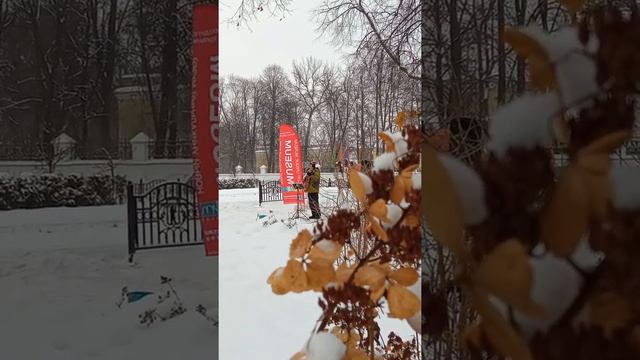 Старый клён - Александр Колосов смотреть онлайн
