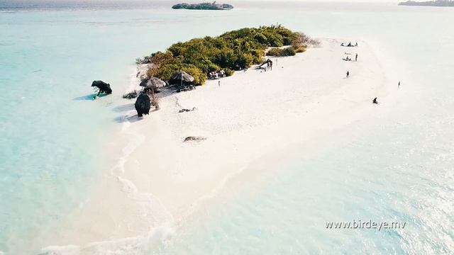 MOTIVATION TRIP - Madivaru Finolhu,Alif Alif Atoll,Maldives [HD] смотреть онлайн