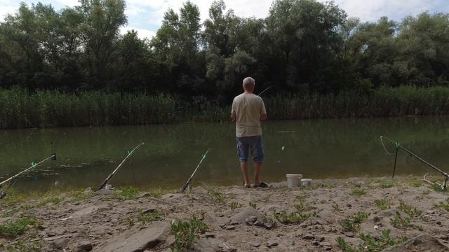 Стародонье .Золотой карась. смотреть онлайн