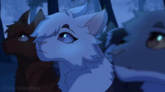 The Sun | Complete Falling Feather & Jackdaw's Cry MAP смотреть онлайн