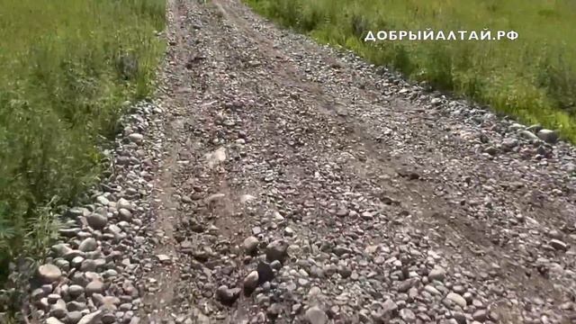Продажа земельного участка Чемал Горно-Алтайск 5,6 Га +7 913 795 73 25 | ДОБРЫЙАЛТАЙ.РФ смотреть онлайн