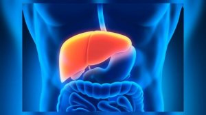 ЧТО ДЕЛАЕТ КОКА-КОЛА С ТВОИМ ОРГАНИЗМОМ? Coca-Cola.