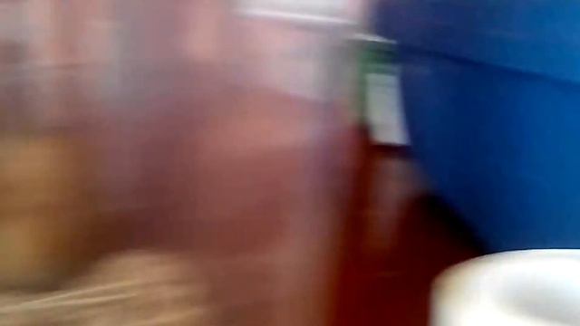 В школе выставка животных. смотреть онлайн