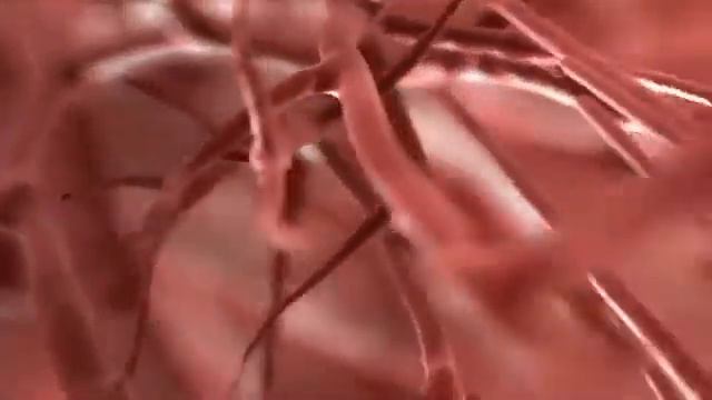 Как уменьшить область хобл смотреть онлайн