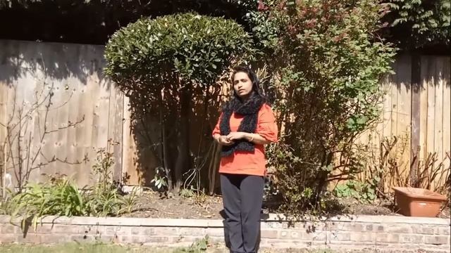 ROSE GARDEN EPI : 27 Laurus nobilis or Bay laurel tree смотреть онлайн