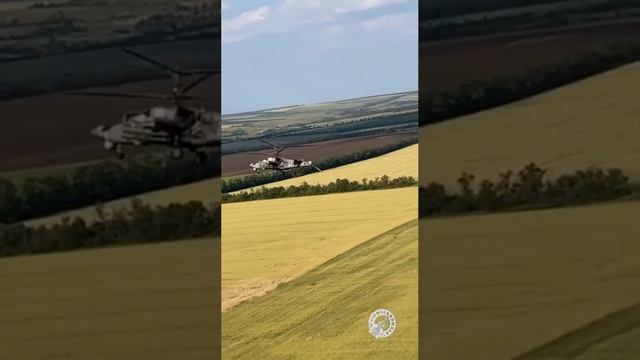 ?Ка-52 возвращается с боевого вылета без хвоста Несмотря на плотный прилет по вертолету, экипаж до смотреть онлайн