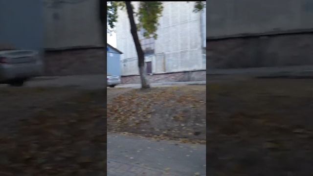 DJI pocket 2 для travel блогера смотреть онлайн