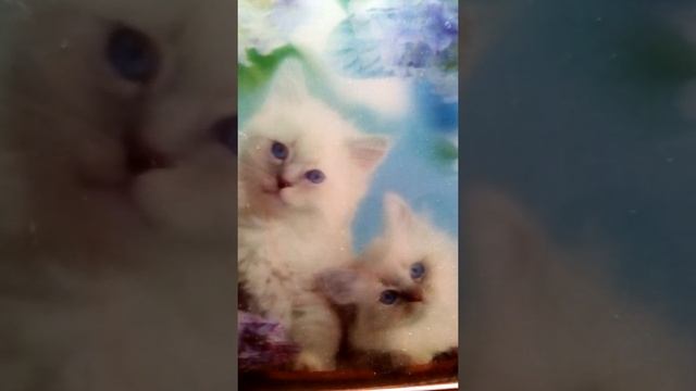 Христианский Стих Ночь кругом смотреть онлайн