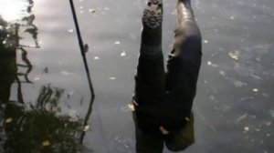 КЛИП РЫБАЦКАЯ