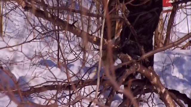 3_0001 смотреть онлайн