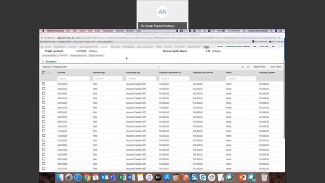 IBM TRIRIGA Lease Accounting - 10.6.1 Gross Asset Value смотреть онлайн