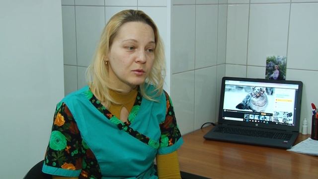 «Ко мне!»: чем опасны обморожения и как спасли кошку Вонни смотреть онлайн