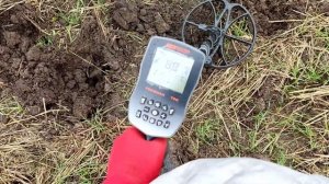 Поиск монет на GOLD HUNTER  T90 FROG MAN. Про китайский металлоискатель Т90