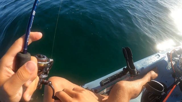 Kayak Fishing Edithburgh South Australia -EP 18- смотреть онлайн