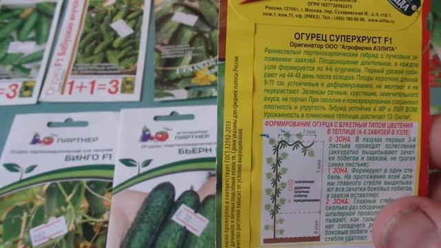 Сорта Огурцов которые дают по 20 кг плодов с куста. смотреть онлайн