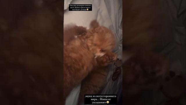 Алексей Жидковский - Инстаграм истории 27.03.2023 @zhidkovskiy смотреть онлайн