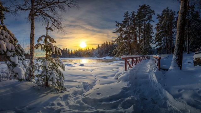 Нарушевич - Рождения Человека - Чудо смотреть онлайн
