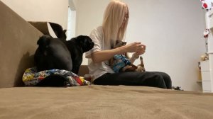 ВЛОГ: Самое ранее утро у Киры. Нервы перед стоматологом. Покусал кот.