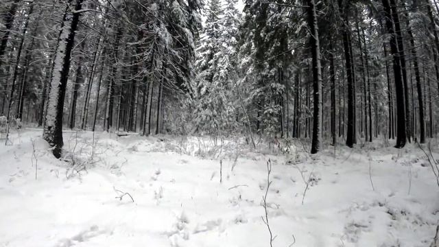 Карелия/ Новогодние каникулы 2021 ??? смотреть онлайн