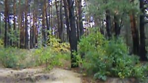 село Кривец