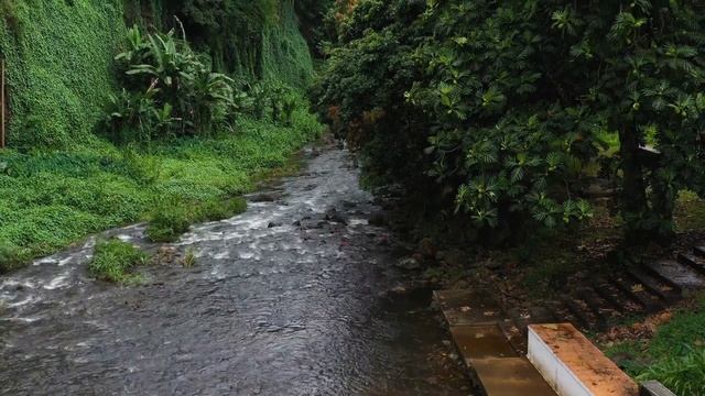 ? Chill Focus - Relaxing Lofi Beats for Concentration and Productivity ? смотреть онлайн