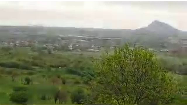 Козлятник дикорастущий. смотреть онлайн