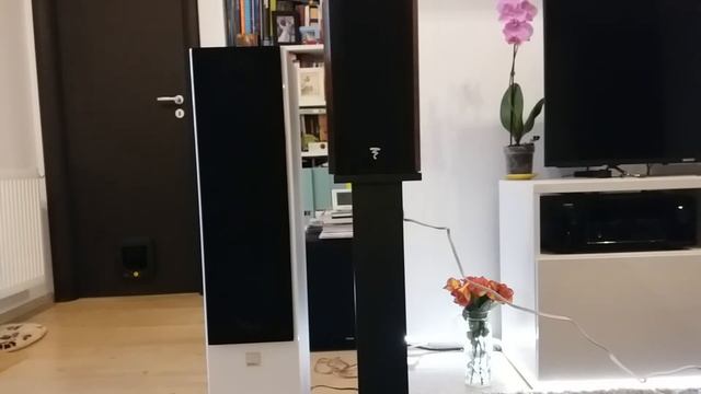 Dali Zensor 7 vs Focal 706 ( Floorstander vs Bookshelf/Standmound) Voice and guitar battle смотреть онлайн
