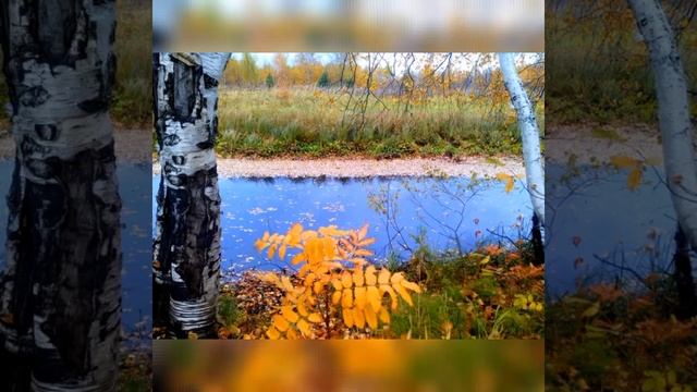 Коми Край смотреть онлайн