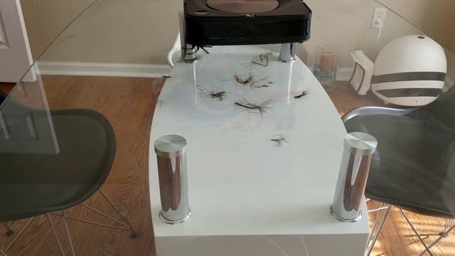 Hair Test, brush roll hair tangle test on the Roomba s9 vs Roborock s50. Which Robot Wins???!!!!! смотреть онлайн