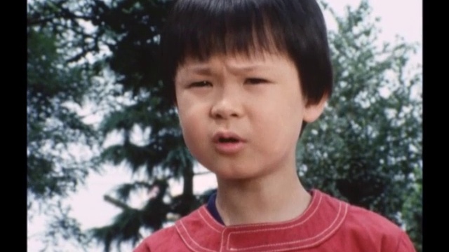 太陽にほえろ！ 第116話 マカロニ ジーパン そしてテキサス