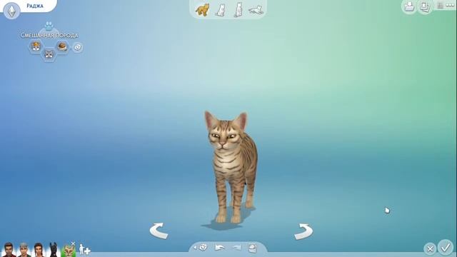 Мой первый стрим! The Sims 4 • Кас, перестройка домов, создание питомцев. смотреть онлайн