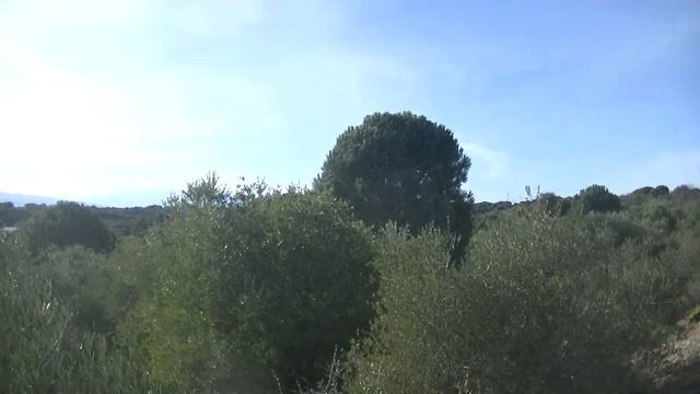 Дорога из Кане-ан-Русийон в сторону Перпиньяна. 29.10.2020 смотреть онлайн