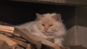 Возвращение Никиты Колесникова из командировки в Потеряевку 25.03. 2017