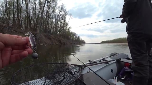 Силиконовая приманка Ronin Rush Echo 4 (цвет 18). Ловля щуки. смотреть онлайн