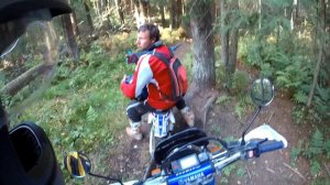 YAMAHA TTR 250 RAID  Эндуро прохват