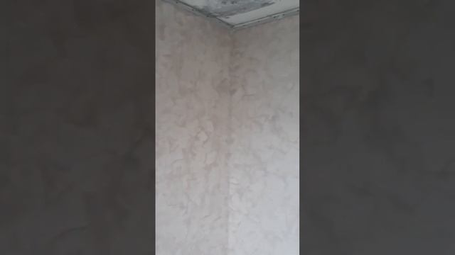 #Декоративное покрытие Велюр #декоративная#штукатурка