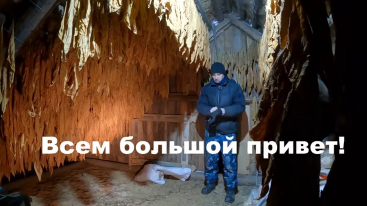 Корова под видеонаблюдением, последнее утепление, деревенские будни декабря! смотреть онлайн