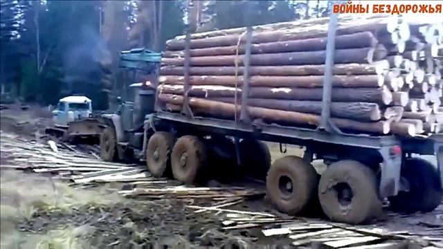 Гусеничный трактор тащит фуру с прицепом в лесу. смотреть онлайн