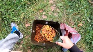 ЛУЧШАЯ НАСАДКА ДЛЯ АМУРА. Решаем проблему сходов на рыбалке.  Ловля на плавающие бойлы.