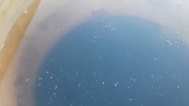 РЕАСИЛ l ВСЯ ПРАВДА l ВЫПАЛ В ОСАДОК смотреть онлайн