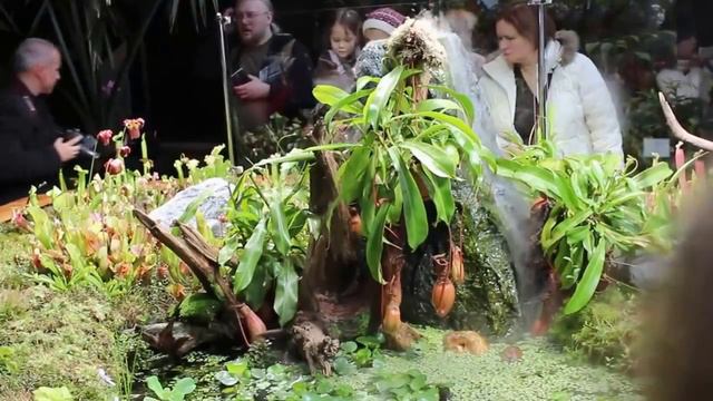 Аптекарский огород смотреть онлайн