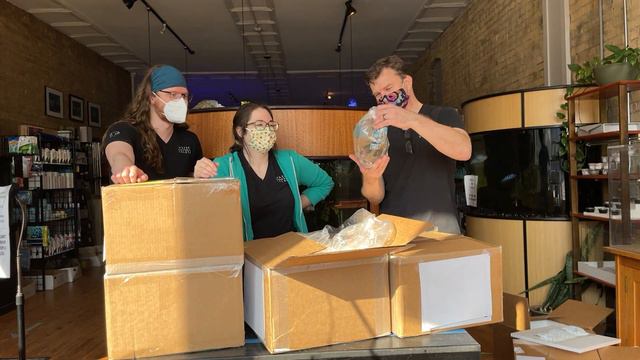Freshwater Fish Unboxing. So Many Species! смотреть онлайн